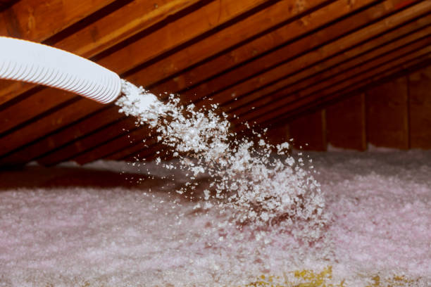 Best Specialized Insulation Services in Bass Lake, IN