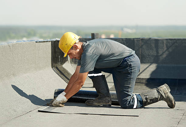 Best Cellulose Insulation in Bass Lake, IN