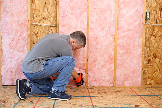 Best Spray Foam Insulation in Bass Lake, IN