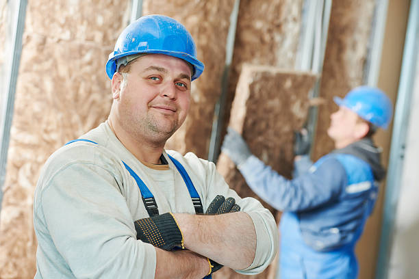 Best Insulation Maintenance and Repair in Bass Lake, IN